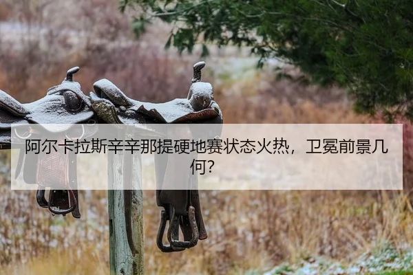a-er-ka-la-si-xin-xin-na-ti-ying-di-sai-zhuang-tai-huo-re-wei-mian-qian-jing-ji-he-2-647.jpg