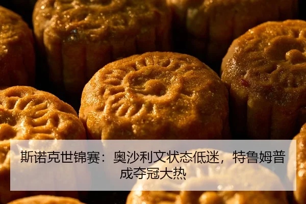 si-nuo-ke-shi-jin-sai-ao-sha-li-wen-zhuang-tai-di-mi-te-lu-mu-pu-cheng-duo-guan-da-re-2-427.jpg