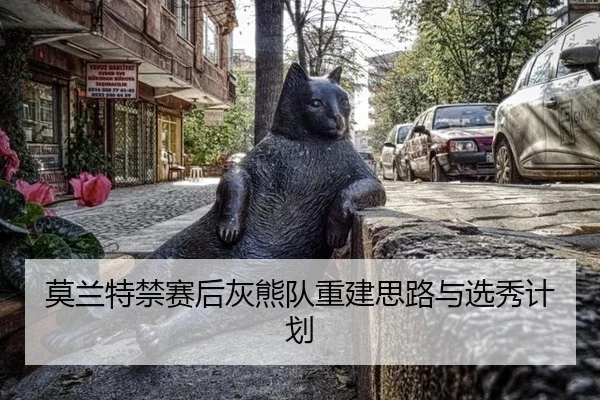 莫兰特禁赛后灰熊队重建思路与选秀计划